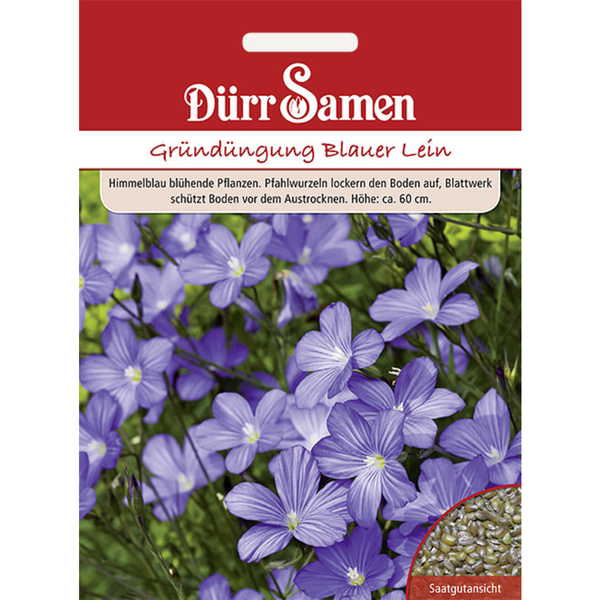 Gründüngung Blauer Lein 60 g Saatgut von Dürr Samen
