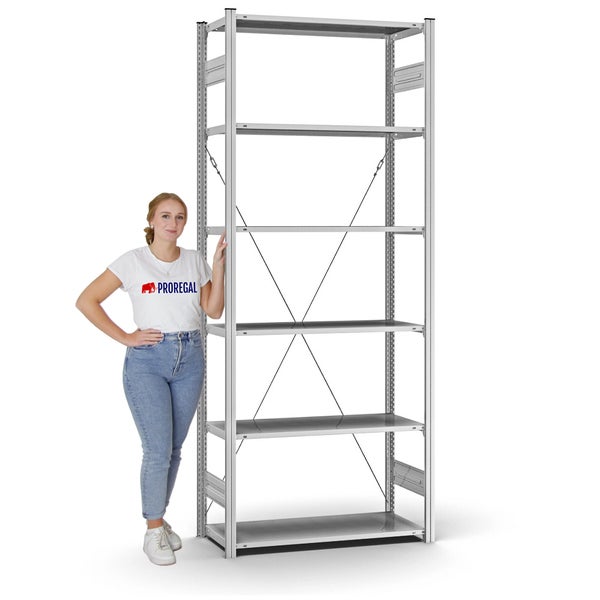 PROREGAL Profi Lagerregal Stecksystem T-Profil Grundregal HxBxT 250 x 100 x 40 cm Fachlast 125 kg Verzinkt