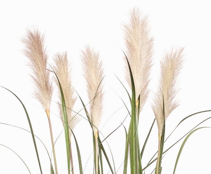 Künstliche Dahlie in Rosa an einem langen Stiel mit grünen Blättern.