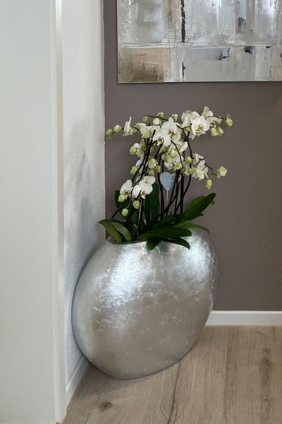 Silbergraue Dekovase in Kieselsteinform mit weißer Orchidee auf hellem Holzboden vor einer dunklen Wand.