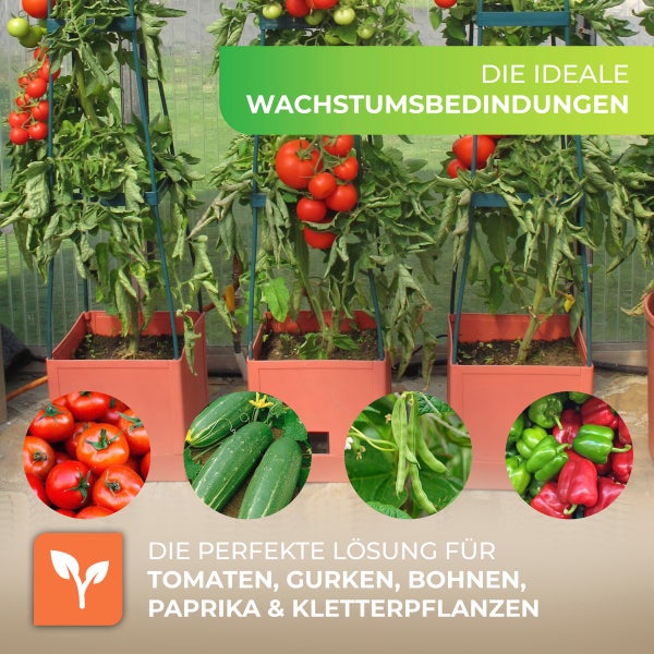 Pflanzsystem mit Rankhilfen für Tomaten, Gurken, Bohnen und Paprika in einem Gewächshaus mit orangefarbenen Behältern.