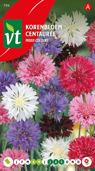 Kornblume Centaurée Saatgut mit gemischten Farben