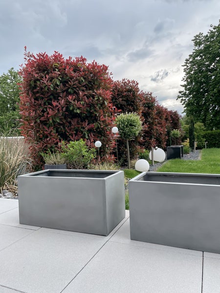 Zwei große rechteckige Pflanzkübel in Grau auf einer Terrasse vor einer Hecke mit roten Blättern und weißen Gartenleuchten.