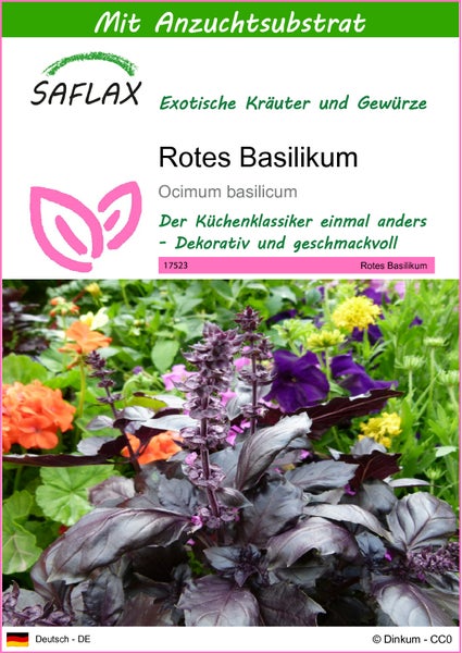 SAFLAX  - Rotes Basilikum - Ocimum basilicum - 200 Samen - Mit keimfreiem Anzuchtsubstrat