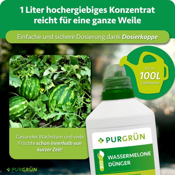 Eine Flasche Purgrün Wassermelonendünger Konzentrat mit Dosierkappe für 100 Liter Gießwasser, geeignet für biologischen Anbau.