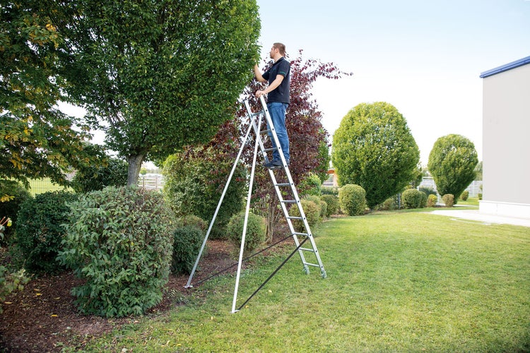 Ein Mann steht auf einer stabilen Gartenleiter aus Aluminium auf einer Rasenfläche und arbeitet an einem hohen Baum.