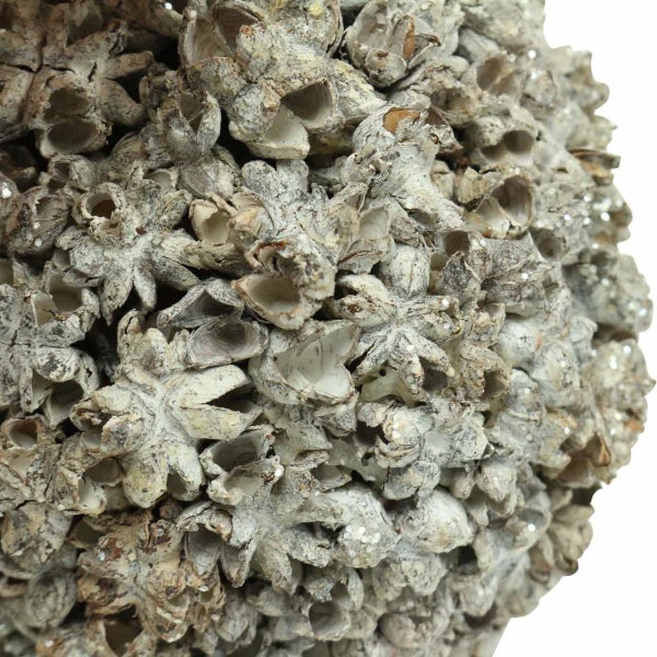 Dekokugel aus Pflanzenmaterial