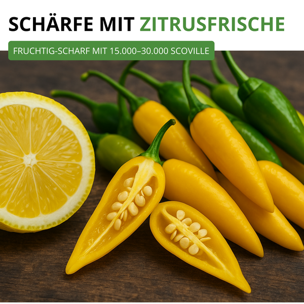 Chili mit Zitrusfrische, fruchtig-scharf mit 15.000 bis 30.000 Scoville, abgebildet mit einer Zitrone.