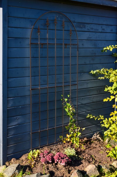 Wandgitter Edera Metall 168,5 x 79 cm pulverbeschichtet anthrazit
