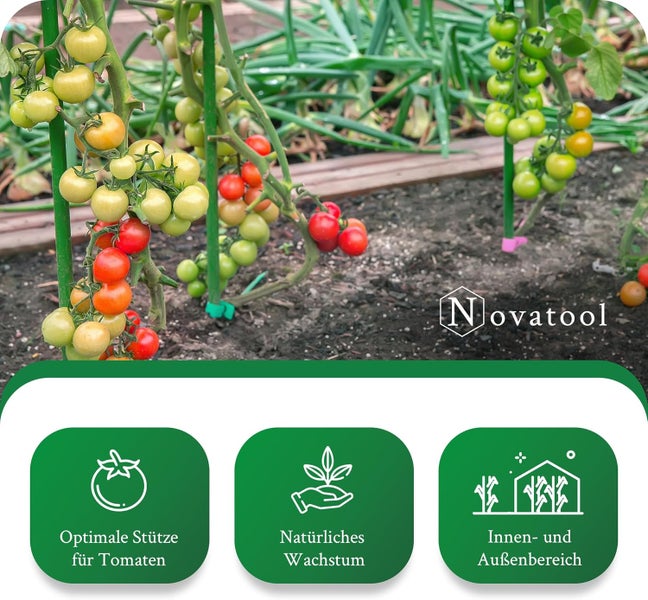 Tomatenpflanzen an grünen Pflanzstäben im Garten mit Novatool Logo. Symbole für optimale Stütze, natürliches Wachstum sowie Innen- und Außenbereich.