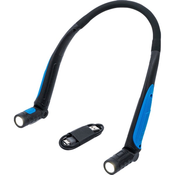 Fette Henne Staude mit rosa Blüten im Garten.