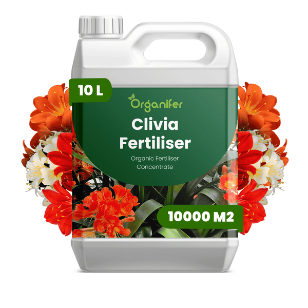 Organifer Bio-Clivia-Dünger Konzentrat, 10 Liter für 10.000 Quadratmeter, in einem weißen Kunststoffkanister mit Blütenabbildungen.