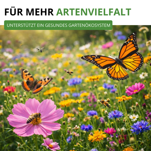 Informationsgrafik einer Blumenwiese mit Bienen und Schmetterlingen zur Förderung der Artenvielfalt und eines gesunden Gartenökosystems.