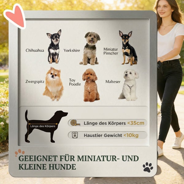 Infografik für kleine Hunde bis 10 Kilogramm und 35 Zentimeter Körperlänge mit Beispielen wie Chihuahua, Zwergspitz und Malteser.