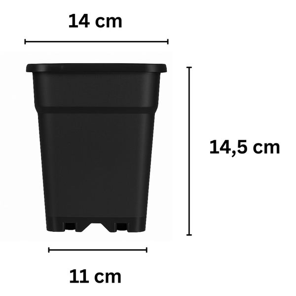 Quadratischer Pflanztopf mit Maßen: Breite oben 14 Zentimeter, Breite unten 11 Zentimeter und Höhe 14,5 Zentimeter.