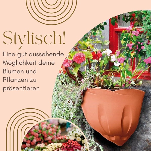 Wandblumentopf mit blühenden Pflanzen