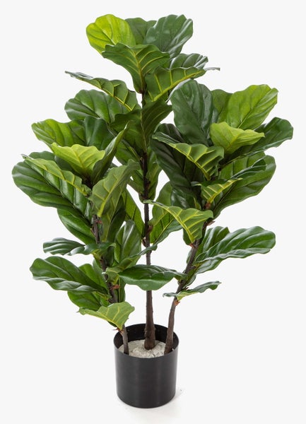 Künstliche Geigenfeige Ficus Lyrata im schwarzen Topf mit drei Stämmen und großen grünen Blättern.