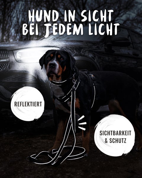 Frau mit zwei Hunden an einer Führleine für mittelgroße und große Hunde