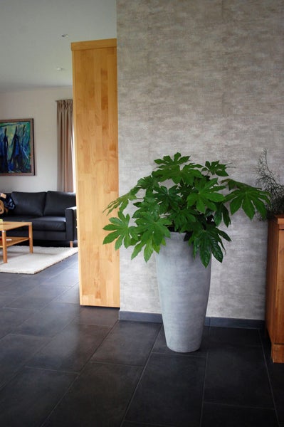 Hoher, grauer Blumentopf in Betonoptik mit Pflanze in einem modernen Wohnzimmer mit dunklen Bodenfliesen.