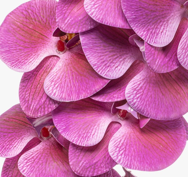 Künstlicher Orchideenzweig Phalaenopsis mit pinkfarbenen Blütenköpfen an einem Stiel.