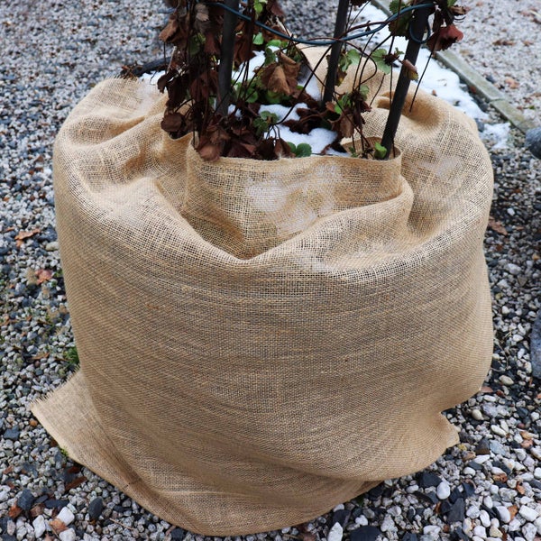 Winterschutz aus Jute für Pflanzen im Garten zum Schutz vor Frost und Kälte.