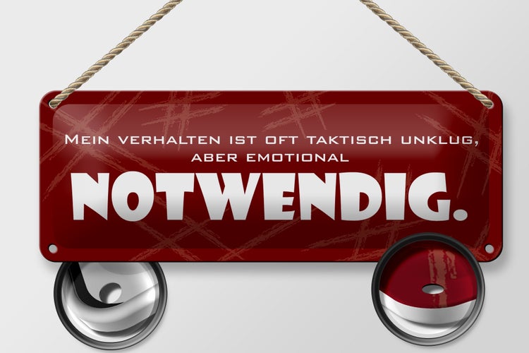 Blechschild Spruch 27x10cm Verhalten ist taktisch unklug Dekoration