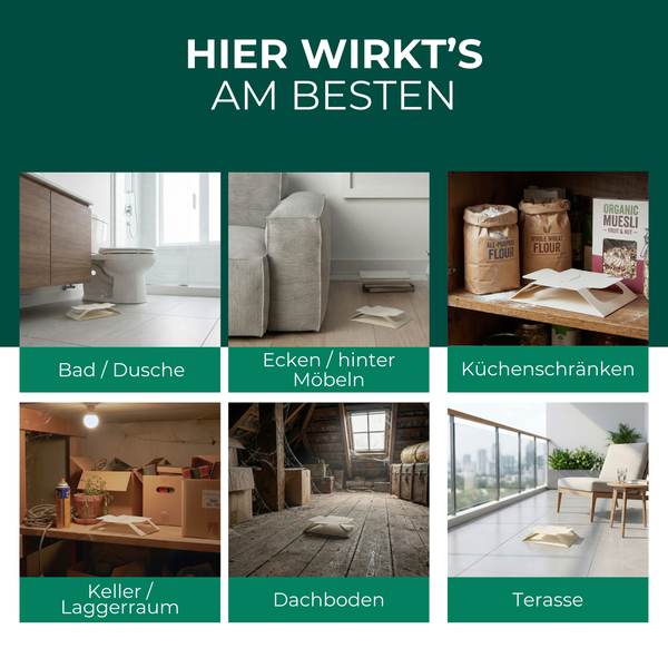Anwendungsbereiche einer Insektenfalle: Badezimmer, hinter Möbeln, Küchenschränke, Keller, Dachboden, Terrasse