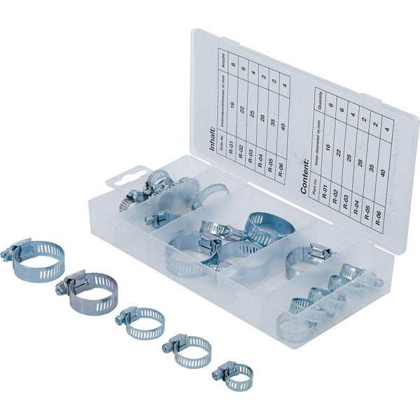 Informationen zur Strelitzia nicolai, auch bekannt als Paradiesvogelblume, mit Anweisungen zu Anzucht, Standort, Pflege und Überwinterung