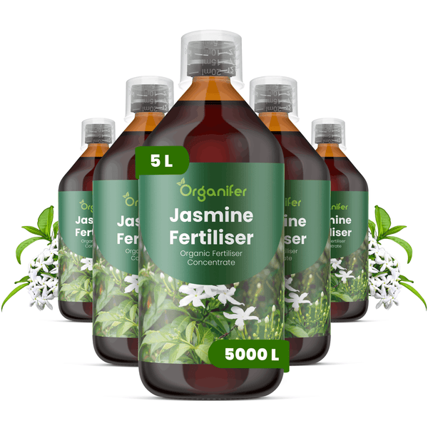 Fünf Flaschen Organifer Jasmin-Dünger, organisches Düngerkonzentrat, jeweils 5 Liter, ausreichend für 5000 Liter Gießwasser.