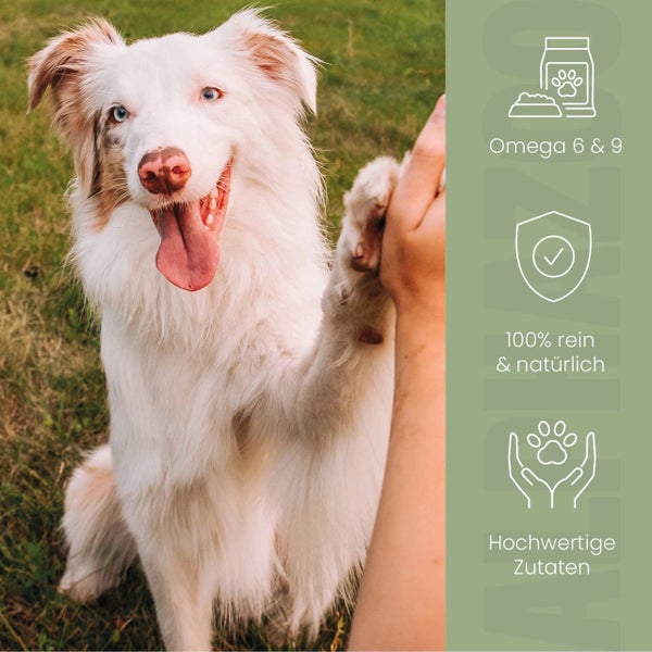 alphazoo Schwarzkümmelöl  für Hunde  250ml