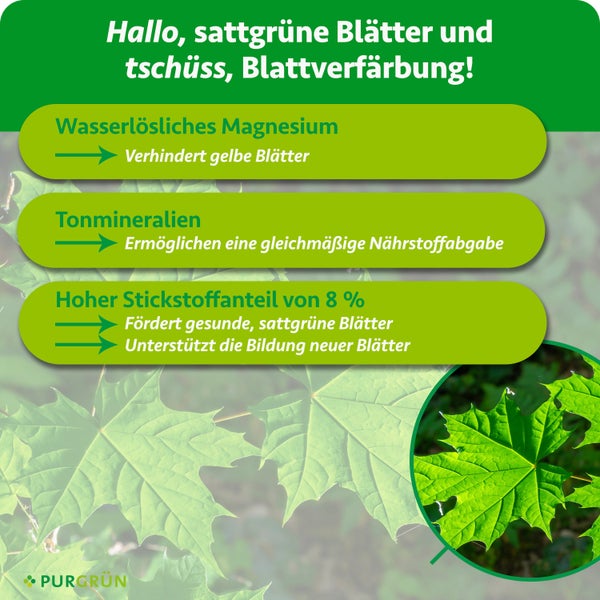 Infografik zu Düngerinhaltsstoffen: Wasserlösliches Magnesium, Tonmineralien und 8 Prozent Stickstoff für gesunde grüne Blätter. Purgrün Logo.