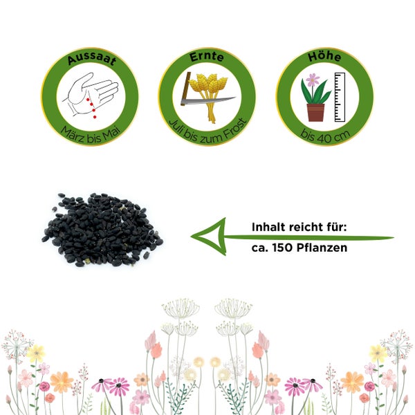 Pflanzensamen: Aussaat März bis Mai, Ernte Juli bis Frost, Wuchshöhe bis 40 Zentimeter, Inhalt für circa 150 Pflanzen.