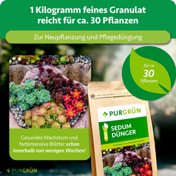 Produktmaß: 150 cm breit und 80 cm hoch