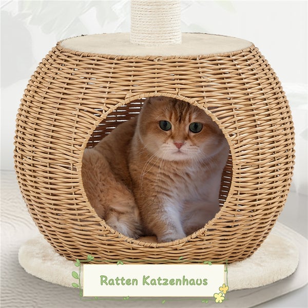 Katze in einem Katzenhaus aus Weide