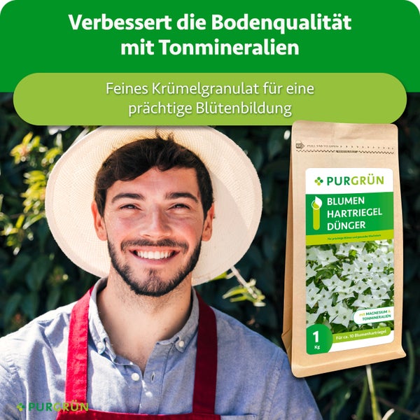 Ein glücklicher Gärtner mit Sonnenhut neben einer Packung Purgrün Blumen Hartriegel Dünger mit Tonmineralien und Magnesium für schönes Wachstum.