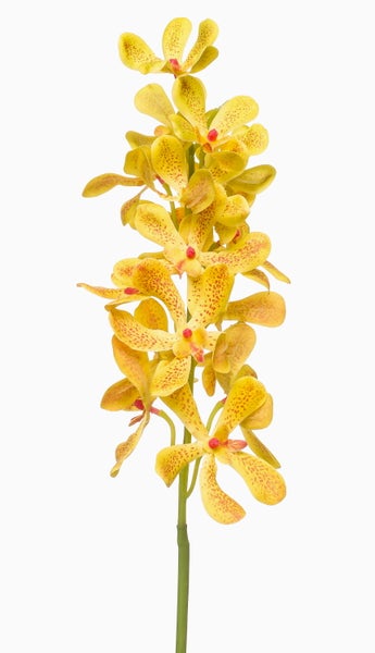 Rustikaler Blumentopf aus Terrakotta mit verwitterter Optik und dunklem Kies sowie Detail einer Pflanze.
