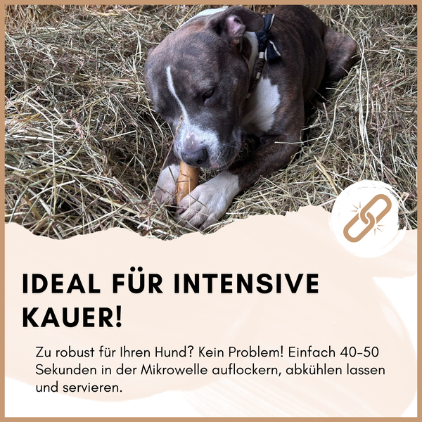 Ein Hund kaut auf einem Kauartikel im Heu, ideal für intensive Kauer