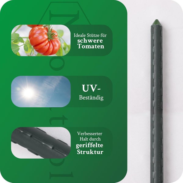 Pflanzstab für schwere Tomaten, ultraviolett beständig und mit geriffelter Struktur für verbesserten Halt.