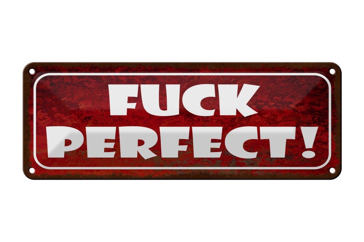 Blechschild Spruch 27x10cm fuck Perfect Dekoration