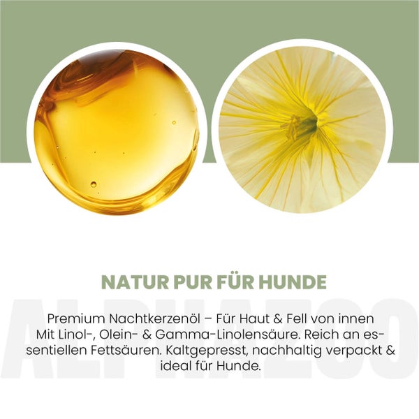 alphazoo Nachtkerzenöl für Hunde 250ml