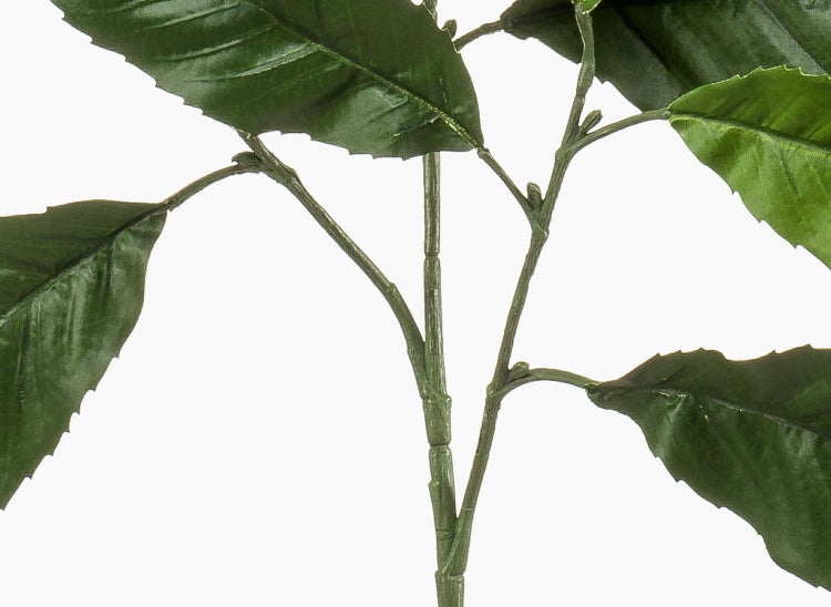 Detailansicht der Stiele und Blätter einer künstlichen Monstera Pflanze.