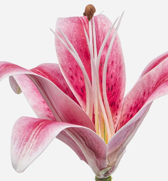 Künstliche Lilie in Rosa mit dunklen Punkten.