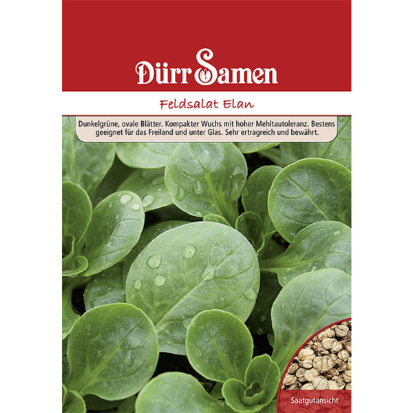 Feldsalat Elan 250 g Saatgut von Dürr Samen