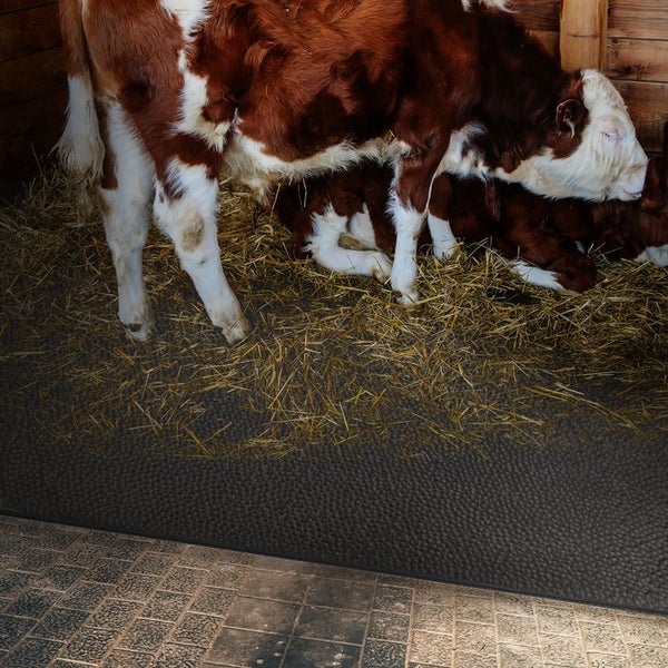 FLOORDIREKT Cow Bed Matress - GW4005 - Rollenware - Stärke 4,5 mm - 200 x 450 cm