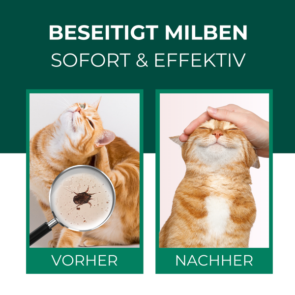 Silberkraft Milbenspray Katzen 500 ml, Abwehrmittel gegen Grabmilben & Herbstgrasmilben,  Anti-Milben-Mittel für Katzenfell, Schlafplätze und Umgebung