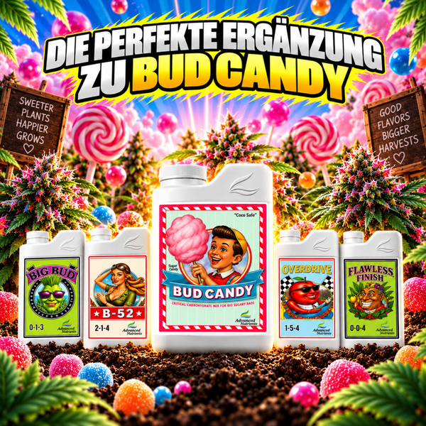 Fünf Flaschen Advanced Nutrients Pflanzendünger mit Bud Candy im Zentrum auf Erde mit Lollis und Pflanzenmotiven