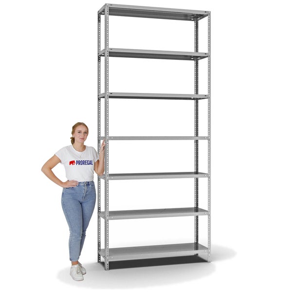 PROREGAL Fachbodenregal Schraubsystem Light-Duty Grundregal HxBxT 300 x 130 x 40 cm 7 Ebenen Fachlast 125 kg Beidseitig Nutzbar Verzinkt