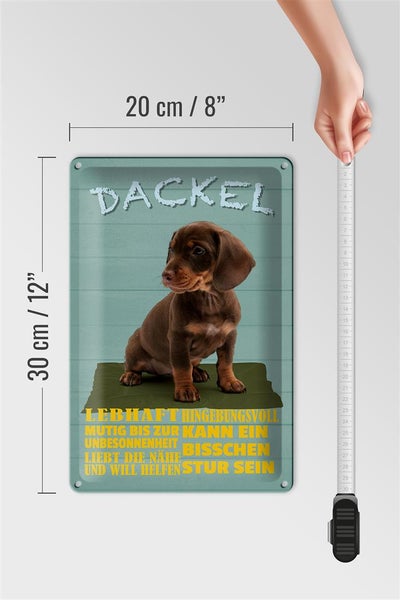 Blechschild Spruch 20x30cm Dackel Hund lebhaft mutig stur