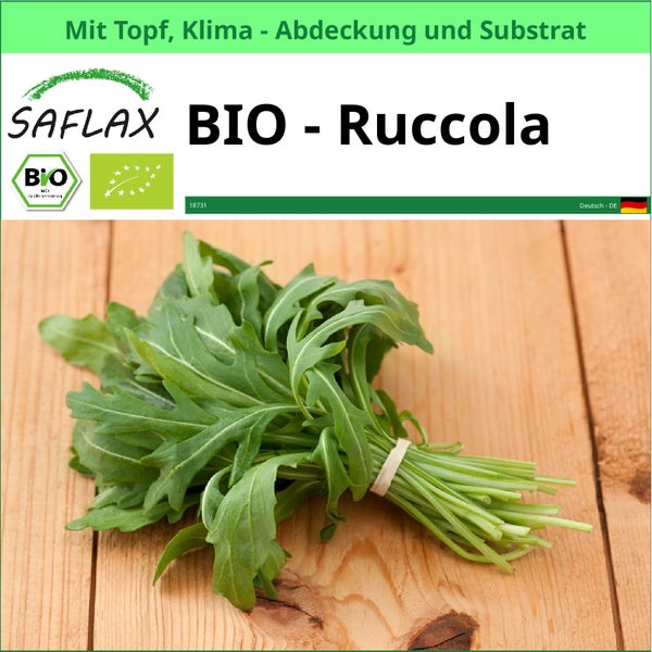 SAFLAX Garden to go - BIO - Ruccola - Eruca sativa - 3000 Samen - Mit Topf, Klima - Deckel und Anzuchtsubstrat