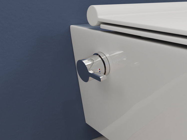 SSWW DELTA CT2041V-B – Hänge-Dusch-WC mit Taharetfunktion, Softclose & Warm-Kalt-Armatur